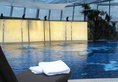 Fraser Suites Top Glory Shanghai в Шанхай Китай ✅. Забронировать номер онлайн по выгодной цене в Fraser Suites Top Glory Shanghai. Трансфер из аэропорта.