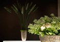 Park Hyatt Shanghai в Шанхай Китай ✅. Забронировать номер онлайн по выгодной цене в Park Hyatt Shanghai. Трансфер из аэропорта.