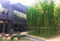 Shanghai Parkyard Hotel в Шанхай Китай ✅. Забронировать номер онлайн по выгодной цене в Shanghai Parkyard Hotel. Трансфер из аэропорта.