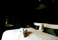 Hotel Pravo All Suite@North Bund в Шанхай Китай ✅. Забронировать номер онлайн по выгодной цене в Hotel Pravo All Suite@North Bund. Трансфер из аэропорта.