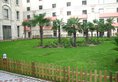 Grand Park Jiayou Hotel Shanghai в Шанхай Китай ✅. Забронировать номер онлайн по выгодной цене в Grand Park Jiayou Hotel Shanghai. Трансфер из аэропорта.