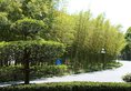 Shanghai Dongjiao State Guest Hotel в Шанхай Китай ✅. Забронировать номер онлайн по выгодной цене в Shanghai Dongjiao State Guest Hotel. Трансфер из аэропорта.