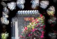 Shanghai Royal Garden Hotel в Шанхай Китай ✅. Забронировать номер онлайн по выгодной цене в Shanghai Royal Garden Hotel. Трансфер из аэропорта.