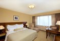 Jin Jiang Rainbow Hotel в Шанхай Китай ✅. Забронировать номер онлайн по выгодной цене в Jin Jiang Rainbow Hotel. Трансфер из аэропорта.