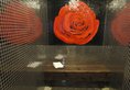 Bodi Boutique Hotel в Шанхай Китай ✅. Забронировать номер онлайн по выгодной цене в Bodi Boutique Hotel. Трансфер из аэропорта.