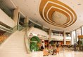 Jin Jiang Pine City Hotel в Шанхай Китай ✅. Забронировать номер онлайн по выгодной цене в Jin Jiang Pine City Hotel. Трансфер из аэропорта.