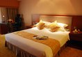 Shanghai Forte Hotel в Шанхай Китай ✅. Забронировать номер онлайн по выгодной цене в Shanghai Forte Hotel. Трансфер из аэропорта.