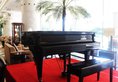 Regal Shanghai East Asia Hotel в Шанхай Китай ✅. Забронировать номер онлайн по выгодной цене в Regal Shanghai East Asia Hotel. Трансфер из аэропорта.