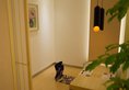 Regal Shanghai East Asia Hotel в Шанхай Китай ✅. Забронировать номер онлайн по выгодной цене в Regal Shanghai East Asia Hotel. Трансфер из аэропорта.