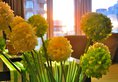 i Shangju Service Apartment в Шанхай Китай ✅. Забронировать номер онлайн по выгодной цене в i Shangju Service Apartment. Трансфер из аэропорта.