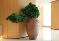 JI Hotel Shanghai Kangqiao Xiuyan Road в Шанхай Китай ✅. Забронировать номер онлайн по выгодной цене в JI Hotel Shanghai Kangqiao Xiuyan Road. Трансфер из аэропорта.