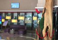 Lifeng Hotel Shanghai pudong airport branch в Шанхай Китай ✅. Забронировать номер онлайн по выгодной цене в Lifeng Hotel Shanghai pudong airport branch. Трансфер из аэропорта.