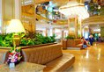 Shanghai International Airport Hotel в Шанхай Китай ✅. Забронировать номер онлайн по выгодной цене в Shanghai International Airport Hotel. Трансфер из аэропорта.