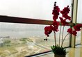 ACME Wanyuan Serviced Apartment в Шанхай Китай ✅. Забронировать номер онлайн по выгодной цене в ACME Wanyuan Serviced Apartment. Трансфер из аэропорта.