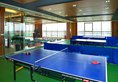 Garden View Hotel в Шанхай Китай ✅. Забронировать номер онлайн по выгодной цене в Garden View Hotel. Трансфер из аэропорта.