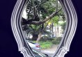 Shanghai Shenkang Boutique Hotel в Шанхай Китай ✅. Забронировать номер онлайн по выгодной цене в Shanghai Shenkang Boutique Hotel. Трансфер из аэропорта.