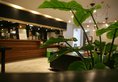 Shanghai Fish Inn Bund в Шанхай Китай ✅. Забронировать номер онлайн по выгодной цене в Shanghai Fish Inn Bund. Трансфер из аэропорта.