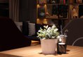 Campanile Shanghai Bund Hotel в Шанхай Китай ✅. Забронировать номер онлайн по выгодной цене в Campanile Shanghai Bund Hotel. Трансфер из аэропорта.