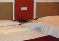 Shanghai Xinlong River Hotel в Шанхай Китай ✅. Забронировать номер онлайн по выгодной цене в Shanghai Xinlong River Hotel. Трансфер из аэропорта.