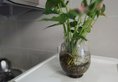 The Sidihome Service Apartment (Saintland Shop) в Шанхай Китай ✅. Забронировать номер онлайн по выгодной цене в The Sidihome Service Apartment (Saintland Shop). Трансфер из аэропорта.