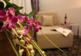 Yangshuo TangRenJie Hotel Mingshi Xi Yuan в Яншо Китай ✅. Забронировать номер онлайн по выгодной цене в Yangshuo TangRenJie Hotel Mingshi Xi Yuan. Трансфер из аэропорта.