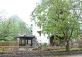 Yangshuo Tea Cozy в Яншо Китай ✅. Забронировать номер онлайн по выгодной цене в Yangshuo Tea Cozy. Трансфер из аэропорта.