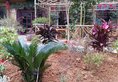 Yangshuo Village Retreat в Яншо Китай ✅. Забронировать номер онлайн по выгодной цене в Yangshuo Village Retreat. Трансфер из аэропорта.