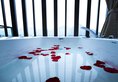 Sea Lily Yangshuo Riverside Honeymoon Hotel в Яншо Китай ✅. Забронировать номер онлайн по выгодной цене в Sea Lily Yangshuo Riverside Honeymoon Hotel. Трансфер из аэропорта.