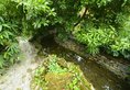 Yangshuo Eden Garden Hotel в Яншо Китай ✅. Забронировать номер онлайн по выгодной цене в Yangshuo Eden Garden Hotel. Трансфер из аэропорта.
