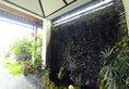 Yangshuo Eden Garden Hotel в Яншо Китай ✅. Забронировать номер онлайн по выгодной цене в Yangshuo Eden Garden Hotel. Трансфер из аэропорта.