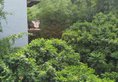 Yangshuo Eden Garden Hotel в Яншо Китай ✅. Забронировать номер онлайн по выгодной цене в Yangshuo Eden Garden Hotel. Трансфер из аэропорта.