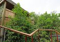CTN Trip Boutique Hotel в Яншо Китай ✅. Забронировать номер онлайн по выгодной цене в CTN Trip Boutique Hotel. Трансфер из аэропорта.