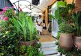 Inn Of Flowers- Yang Shuo Pan Tao в Яншо Китай ✅. Забронировать номер онлайн по выгодной цене в Inn Of Flowers- Yang Shuo Pan Tao. Трансфер из аэропорта.