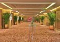 Crowne Plaza Beijing Lido в Пекин Китай ✅. Забронировать номер онлайн по выгодной цене в Crowne Plaza Beijing Lido. Трансфер из аэропорта.