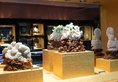 Capital Hotel Beijing в Пекин Китай ✅. Забронировать номер онлайн по выгодной цене в Capital Hotel Beijing. Трансфер из аэропорта.