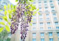 Legendale Apartment в Пекин Китай ✅. Забронировать номер онлайн по выгодной цене в Legendale Apartment. Трансфер из аэропорта.