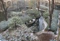 Chateau Star River в Пекин Китай ✅. Забронировать номер онлайн по выгодной цене в Chateau Star River. Трансфер из аэропорта.