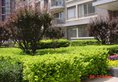 Two Bed Room Apt - Park Avenue в Пекин Китай ✅. Забронировать номер онлайн по выгодной цене в Two Bed Room Apt - Park Avenue. Трансфер из аэропорта.