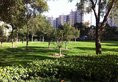 Two Bed Room Apt - Park Avenue в Пекин Китай ✅. Забронировать номер онлайн по выгодной цене в Two Bed Room Apt - Park Avenue. Трансфер из аэропорта.