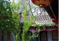 Beijing Double Happiness Courtyard Hotel в Пекин Китай ✅. Забронировать номер онлайн по выгодной цене в Beijing Double Happiness Courtyard Hotel. Трансфер из аэропорта.