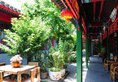 Beijing Double Happiness Courtyard Hotel в Пекин Китай ✅. Забронировать номер онлайн по выгодной цене в Beijing Double Happiness Courtyard Hotel. Трансфер из аэропорта.