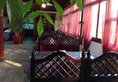 Jingshan Garden Hotel - Forbidden City в Пекин Китай ✅. Забронировать номер онлайн по выгодной цене в Jingshan Garden Hotel - Forbidden City. Трансфер из аэропорта.