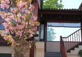 Jingshan Garden Hotel - Forbidden City в Пекин Китай ✅. Забронировать номер онлайн по выгодной цене в Jingshan Garden Hotel - Forbidden City. Трансфер из аэропорта.
