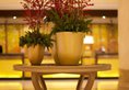 Beijing Continental Grand Hotel в Пекин Китай ✅. Забронировать номер онлайн по выгодной цене в Beijing Continental Grand Hotel. Трансфер из аэропорта.