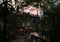 Michael's House Beijing в Пекин Китай ✅. Забронировать номер онлайн по выгодной цене в Michael's House Beijing. Трансфер из аэропорта.