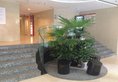 Beijing Yinxingshu Apartment в Пекин Китай ✅. Забронировать номер онлайн по выгодной цене в Beijing Yinxingshu Apartment. Трансфер из аэропорта.