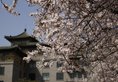 Beijing Friendship Hotel в Пекин Китай ✅. Забронировать номер онлайн по выгодной цене в Beijing Friendship Hotel. Трансфер из аэропорта.