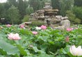 Beijing Fuyuan Garden Business Hotel в Пекин Китай ✅. Забронировать номер онлайн по выгодной цене в Beijing Fuyuan Garden Business Hotel. Трансфер из аэропорта.