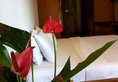Veranda Natural Resort в Кеп Камбоджа ✅. Забронировать номер онлайн по выгодной цене в Veranda Natural Resort. Трансфер из аэропорта.