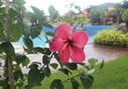 Try Palace Resort & Spa в Кеп Камбоджа ✅. Забронировать номер онлайн по выгодной цене в Try Palace Resort & Spa. Трансфер из аэропорта.